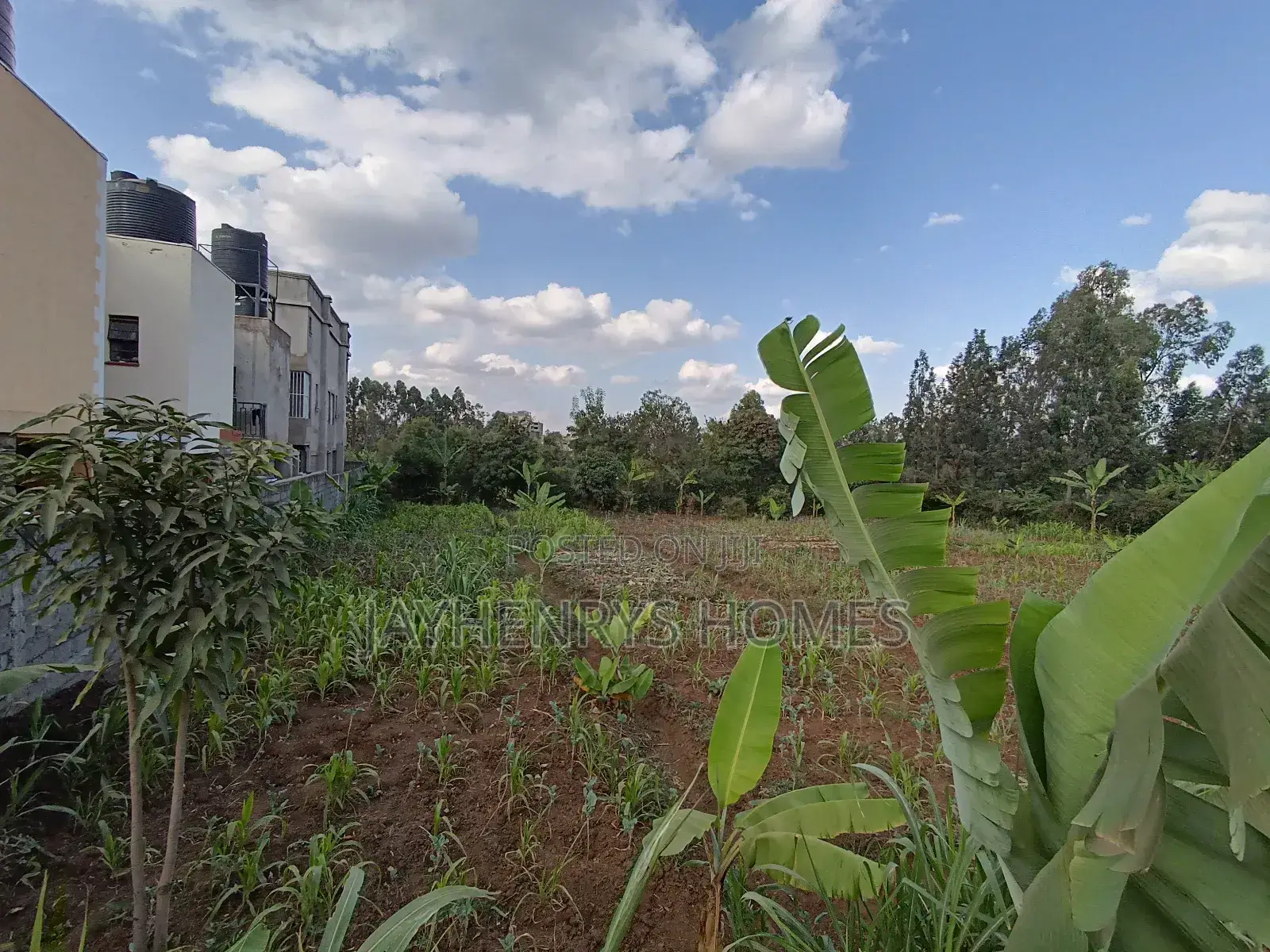 1/2 Acre Plot for Sale in Ghorofani, Kasarani