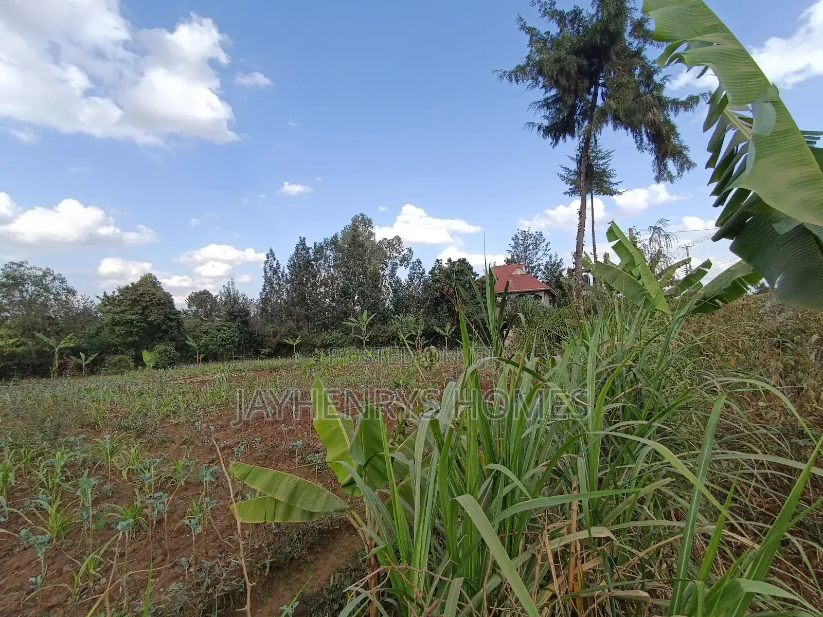 1/2 Acre Plot for Sale in Ghorofani, Kasarani