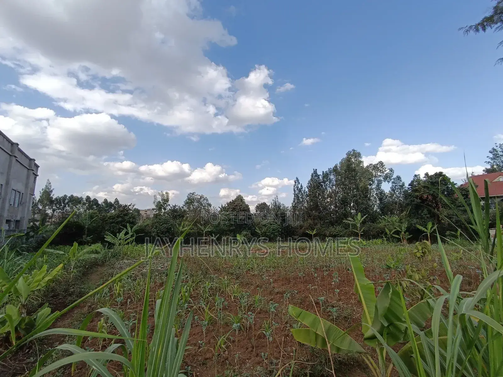1/2 Acre Plot for Sale in Ghorofani, Kasarani