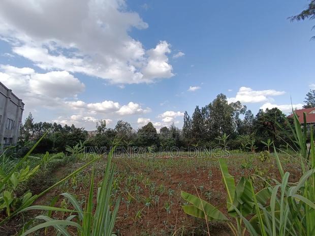 1/2 Acre Plot for Sale in Ghorofani, Kasarani - thumbnail 13