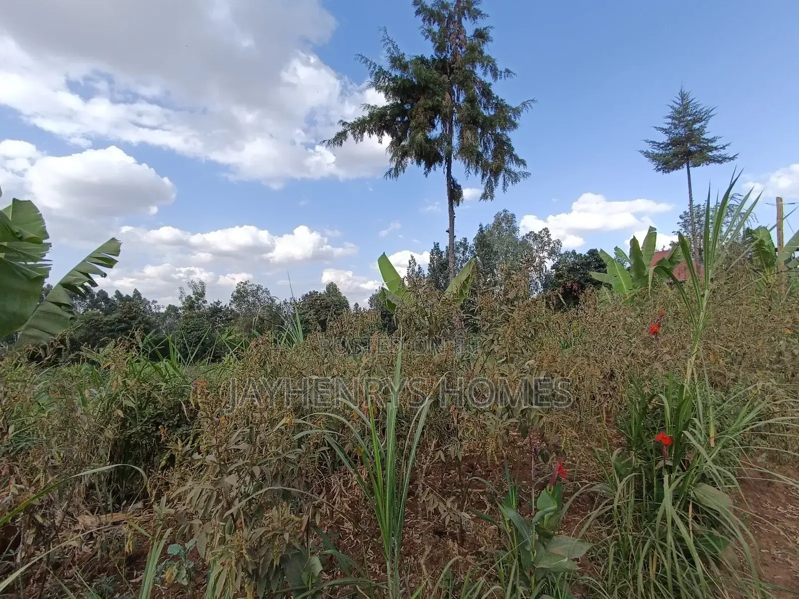 1/2 Acre Plot for Sale in Ghorofani, Kasarani