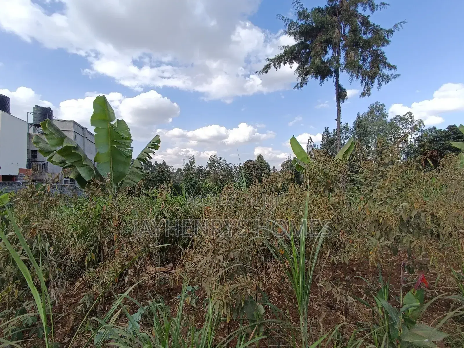 1/2 Acre Plot for Sale in Ghorofani, Kasarani