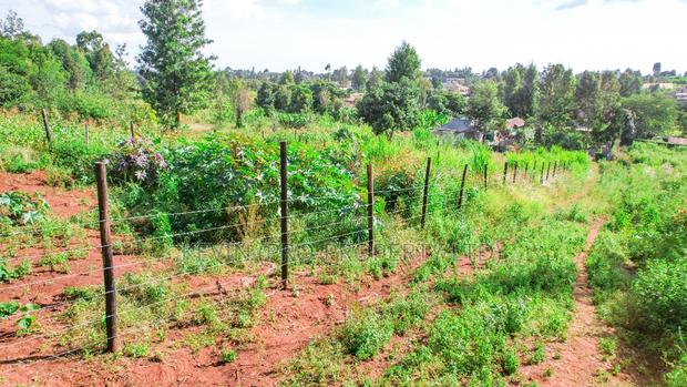 Prime Residential Plots for Sale in Kikuyu, Gikambura -Jambu - thumbnail 2