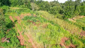 Prime Residential Plots for Sale in Kikuyu, Gikambura -Jambu