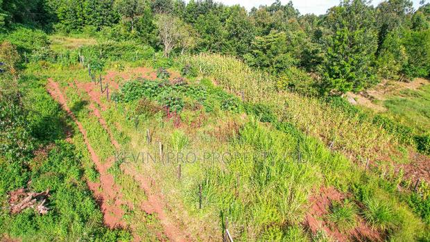 Prime Residential Plots for Sale in Kikuyu, Gikambura -Jambu - thumbnail 4