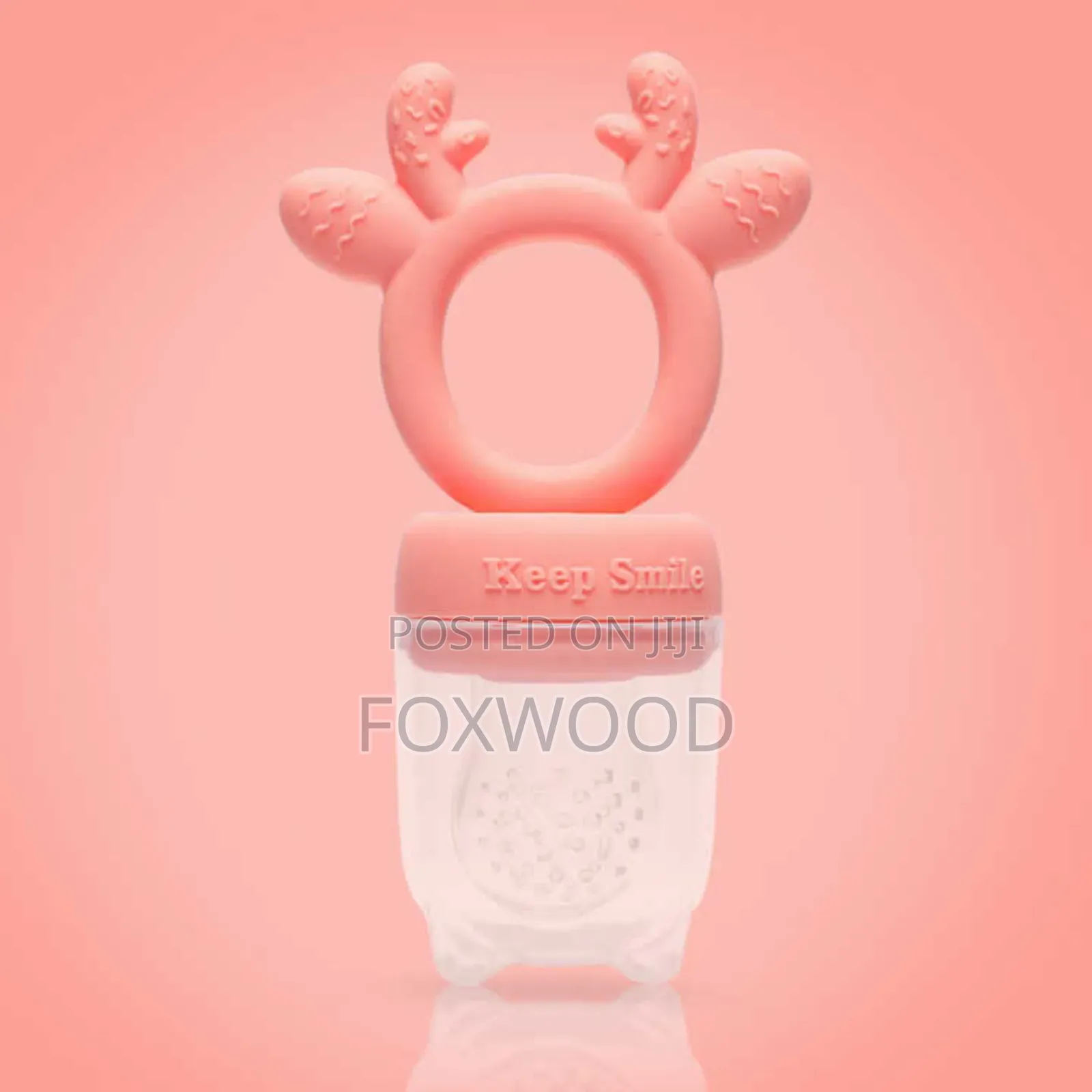 4 In1 Silicone Food Nibbler With 2 Extra Mesh Nipples