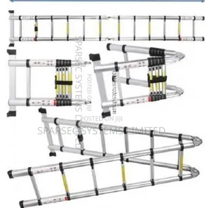3.8m Double Telescopic Ladder