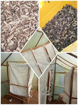 Dry Black Soldier Fly for Feed Formulation or Direct Feeding