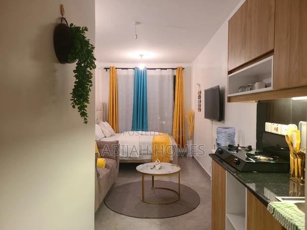 Studio Airbnb Safaripark - main view