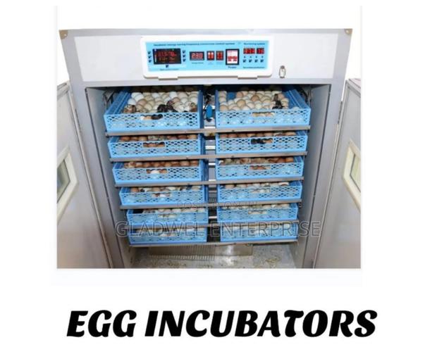 Automatic Egg Incubator