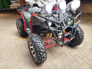 High Performance Automatic Quadbike