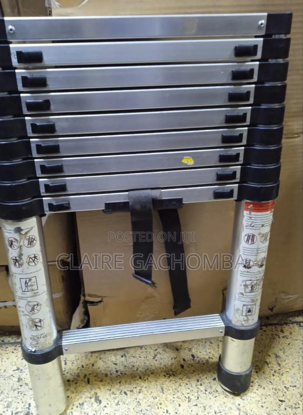 Telescopic Ladder 2.9 Meters - main view