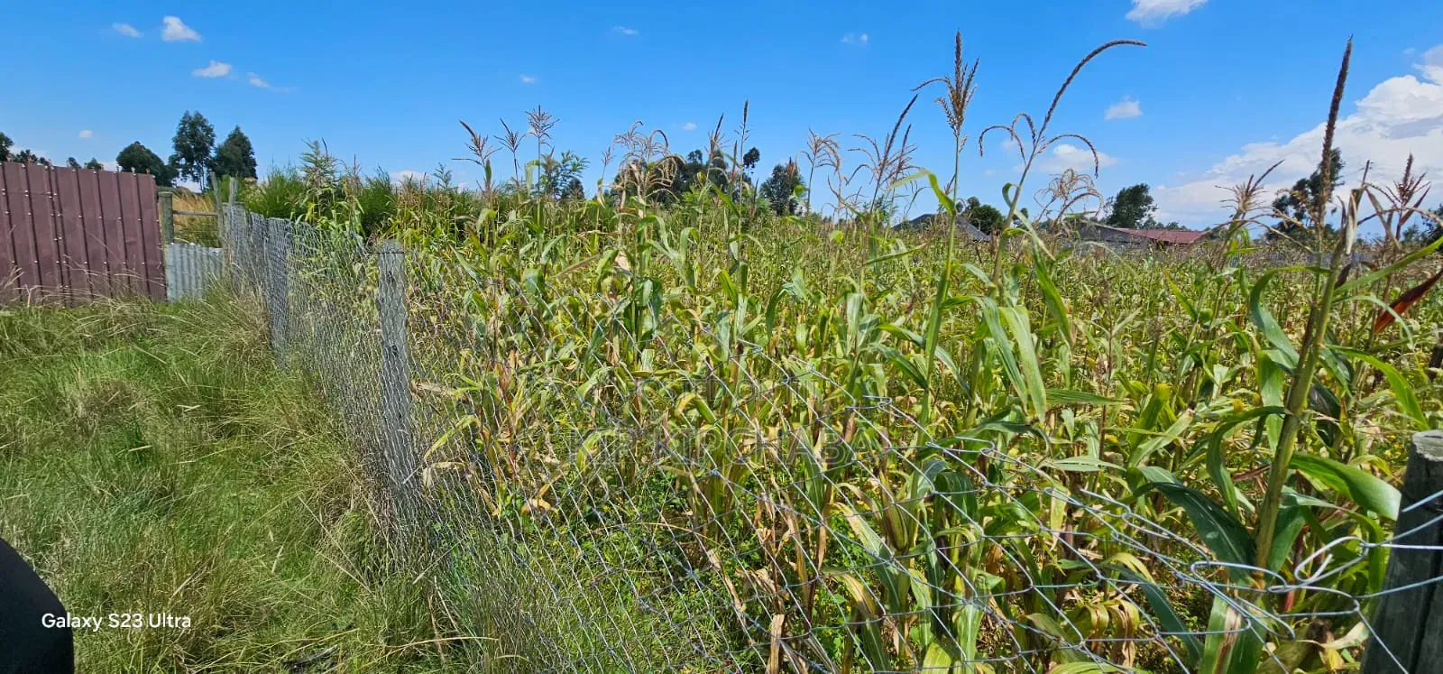 Prime Plot for Sale in Kuinet Eldoret
