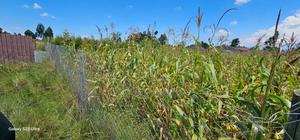 Prime Plot for Sale in Kuinet Eldoret - thumbnail 2