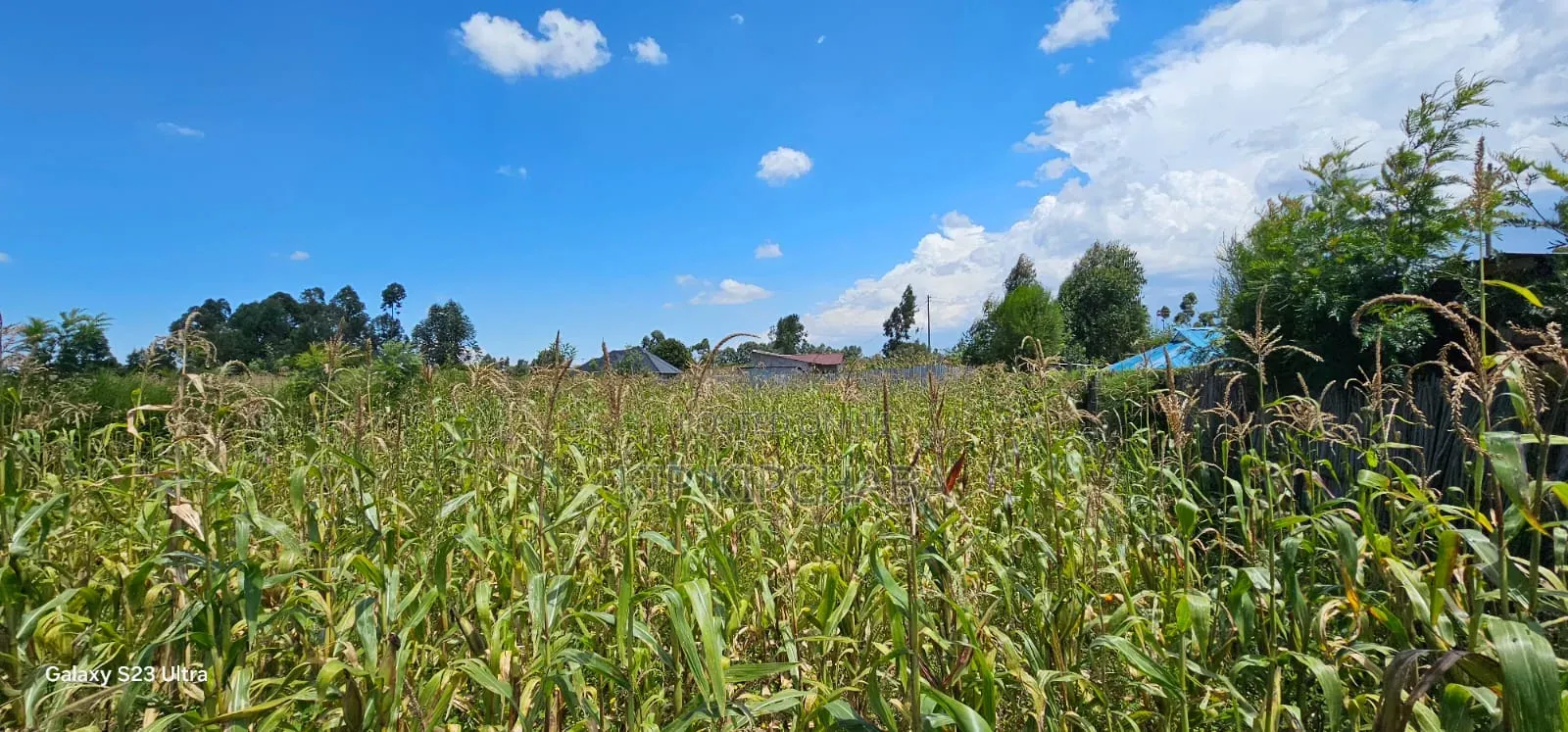 Prime Plot for Sale in Kuinet Eldoret