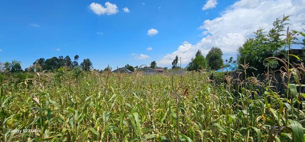 Prime Plot for Sale in Kuinet Eldoret - thumbnail 3