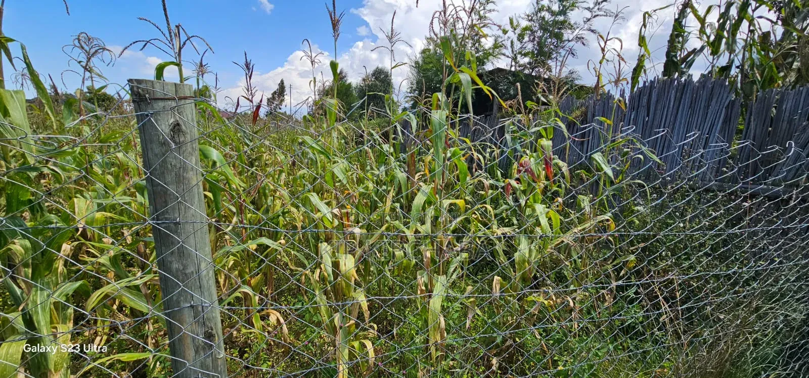 Prime Plot for Sale in Kuinet Eldoret