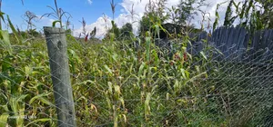 Prime Plot for Sale in Kuinet Eldoret
