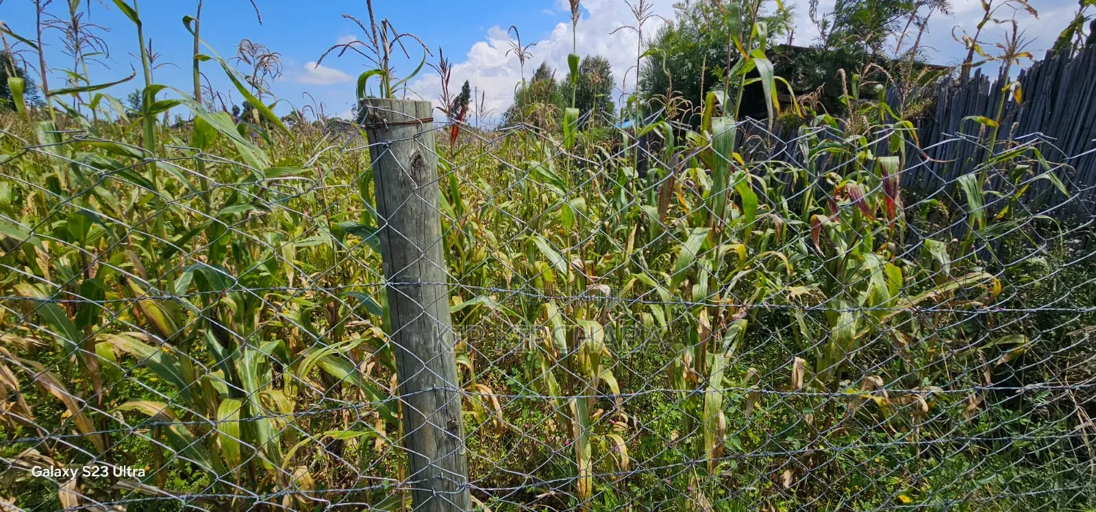 Prime Plot for Sale in Kuinet Eldoret