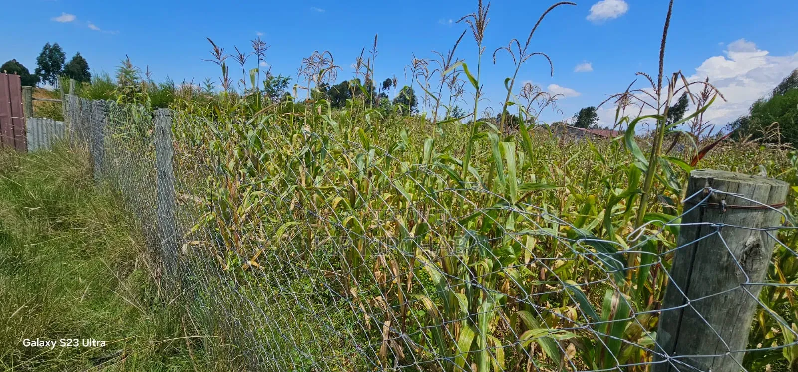 Prime Plot for Sale in Kuinet Eldoret