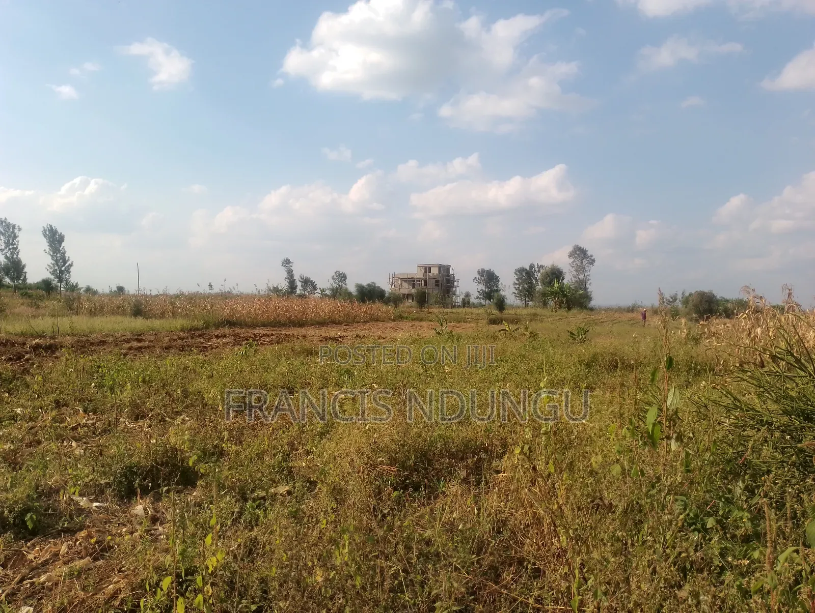 Residential Plots for Sale Anmer Estate Migaa Kiambu