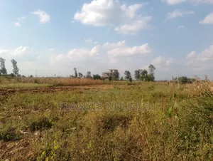 Residential Plots for Sale Anmer Estate Migaa Kiambu