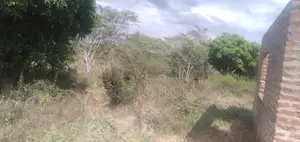 Home With 1acre Land