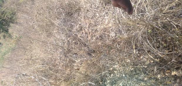 Selling a Land - main view