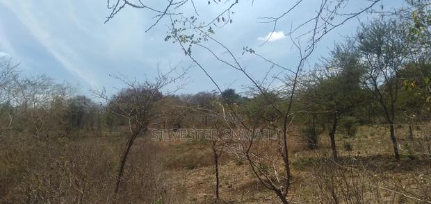 Selling a Land - thumbnail 3