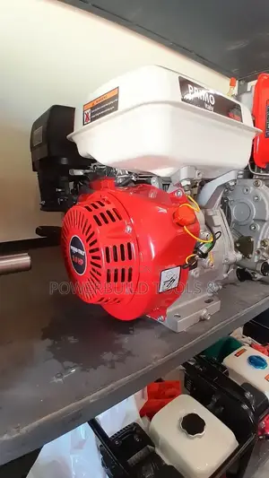 Italian Petrol Engine 9HP Primo Brand