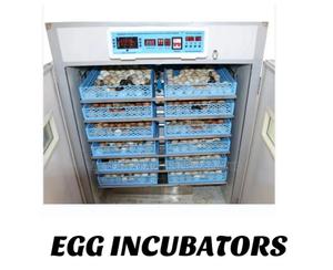 528 Eggs Incubator - thumbnail 2