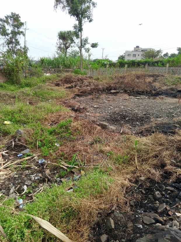 Nyalenda Plots 0.06 and 0.05ha 6M 5M