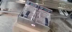 Efficiency Electric Double Chips Fryer Caterina