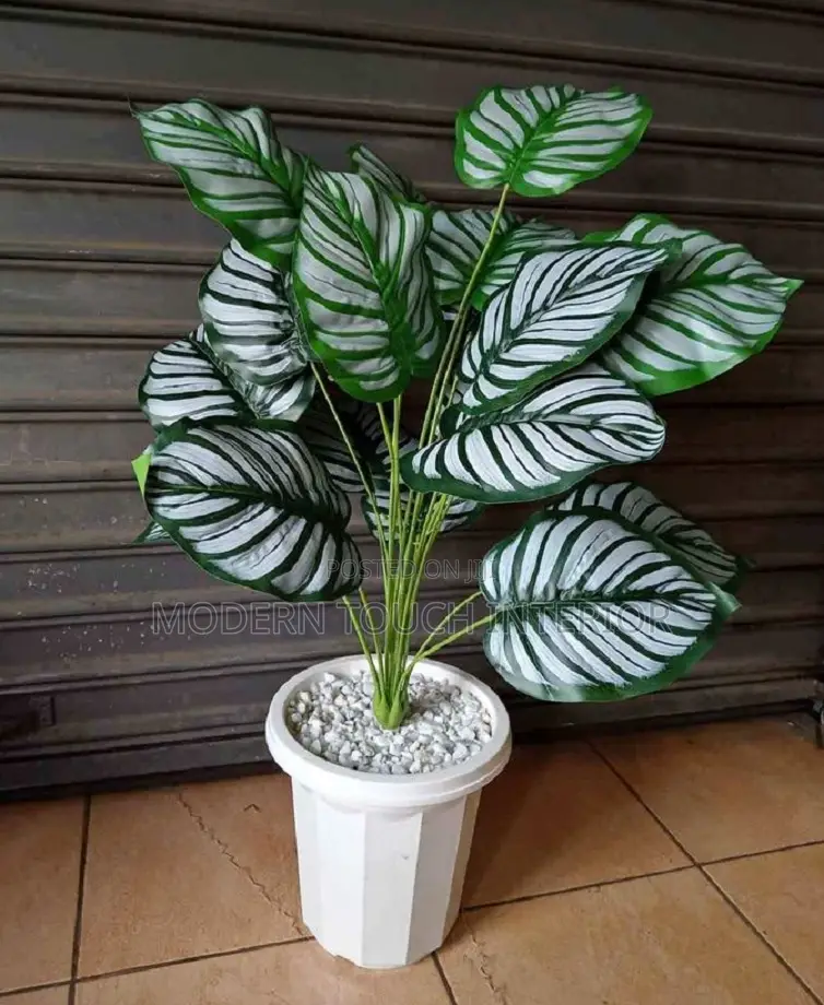 Artificial Decor Plant
