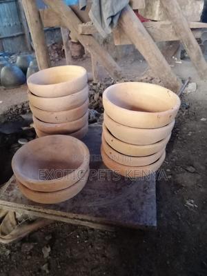 Clay Pigeon Nests - thumbnail 2