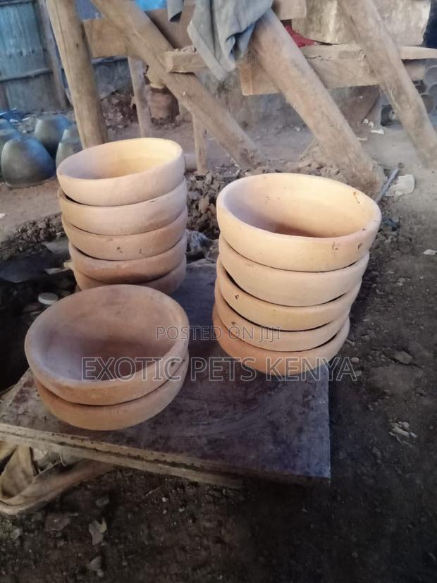 Clay Pigeon Nests - main view