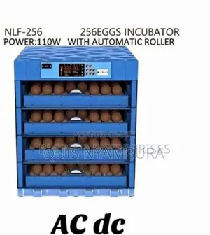 256 Eggs Incubator Machine Ac/Dc /Egg Incubator Machine 256