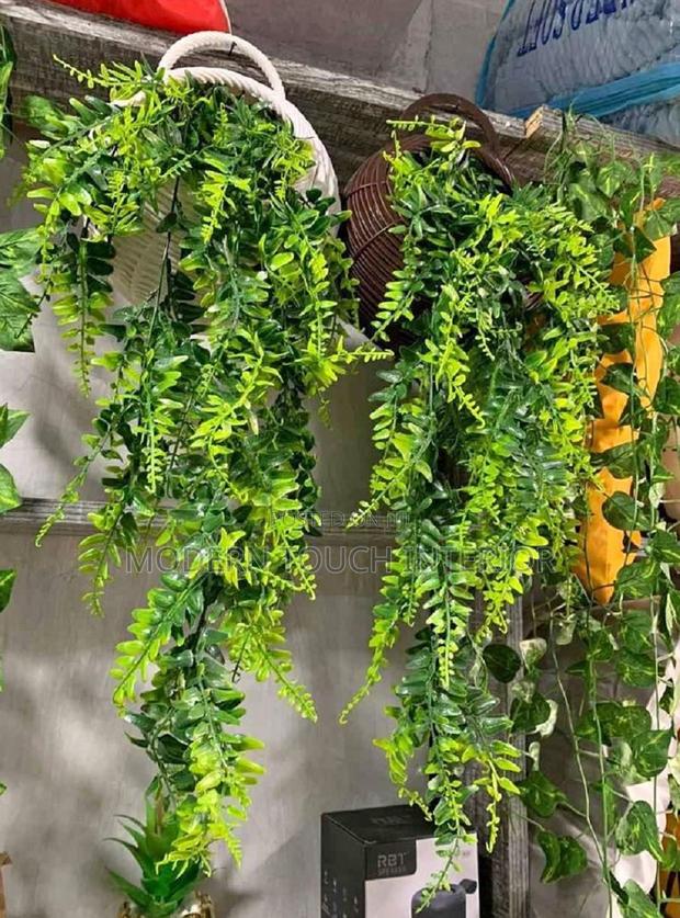 Artificial Vines