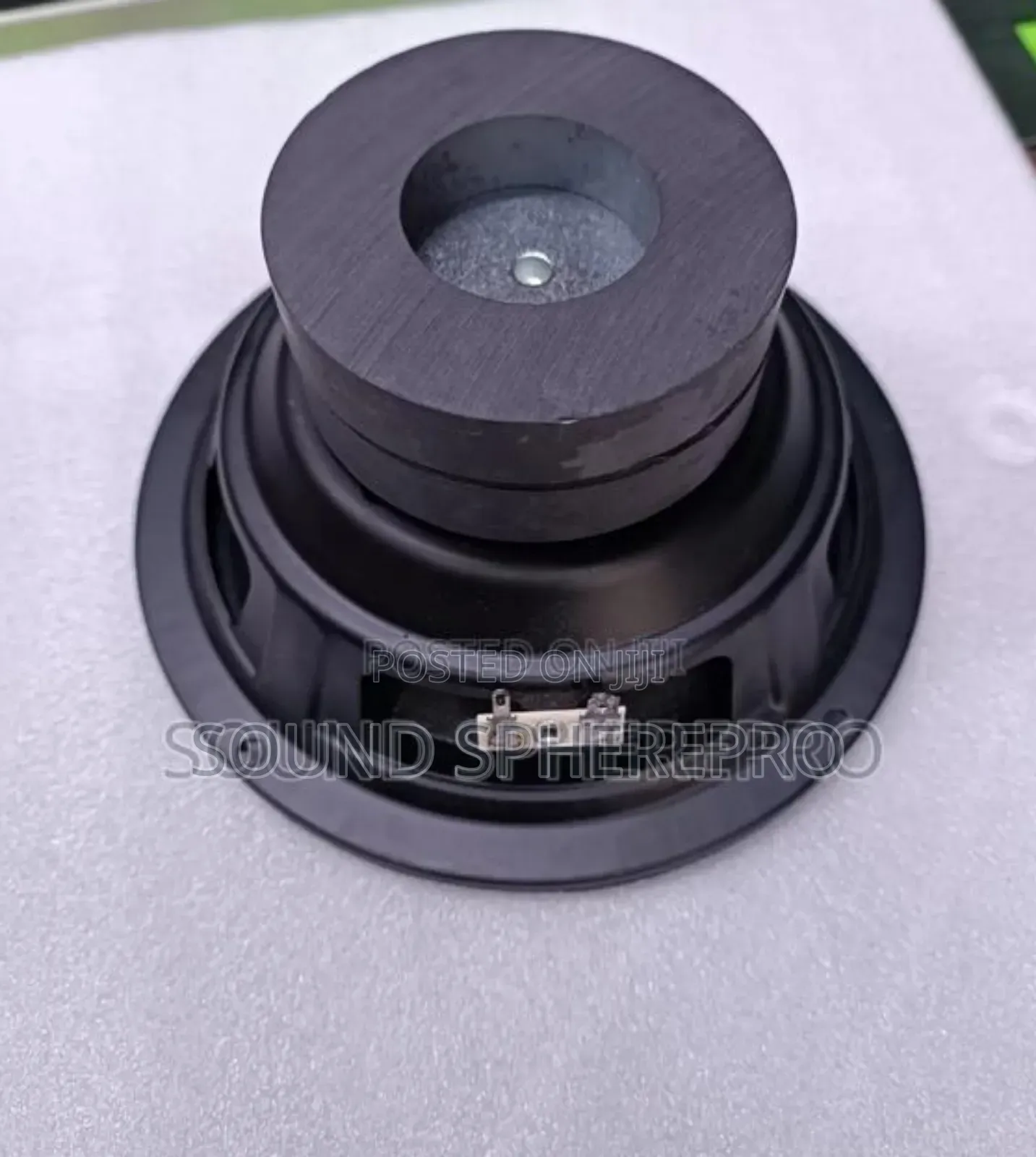 6 Inch Double Magnet Speaker