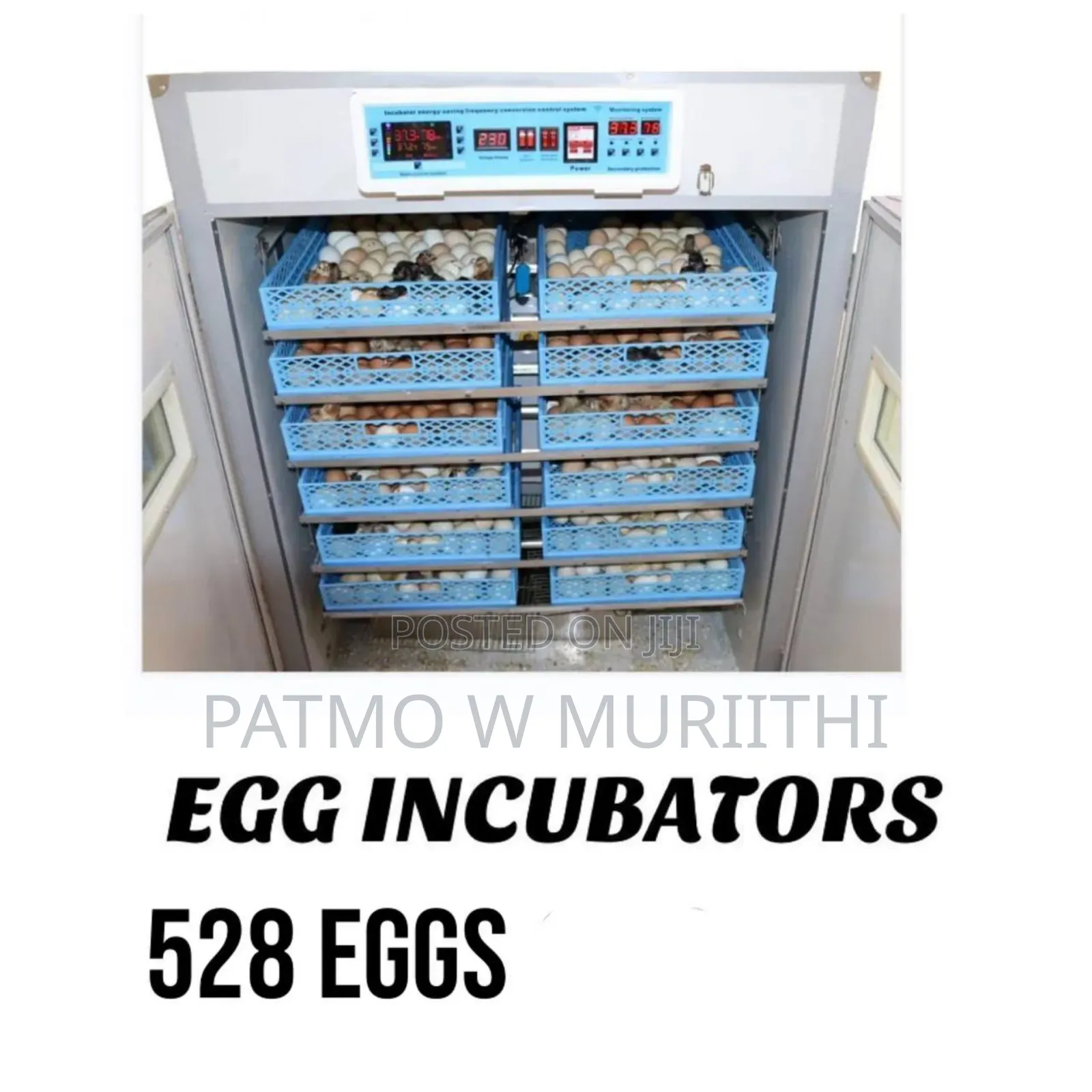 Egg Incubator, Premier Solar Incubator 528egg AC