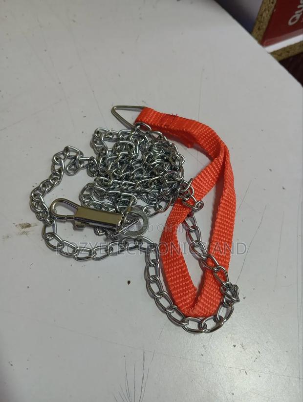 Dog Chain Dog Chain - main view