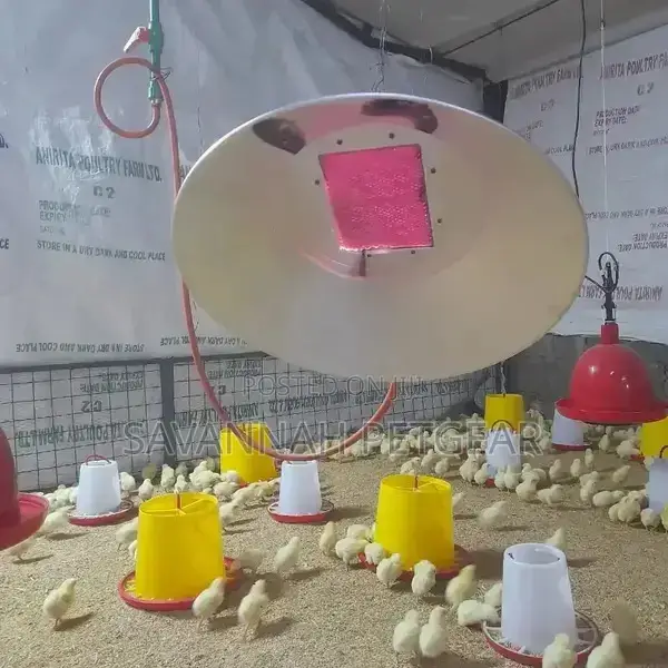 Poultry Gas Brooder Heater for 1500 to 2000 Chicks