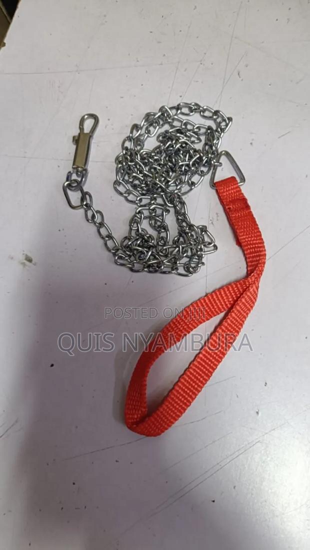 Dog Chain, Quality Dog Chain - main view