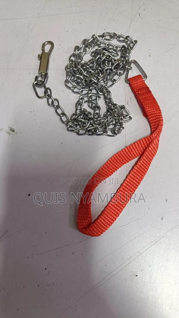 Quality Dog Chain, Dog Chain - main view