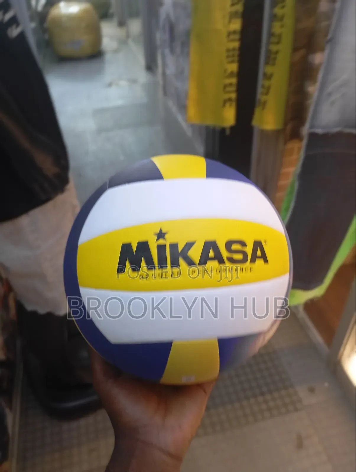 Mikasa Vorryball