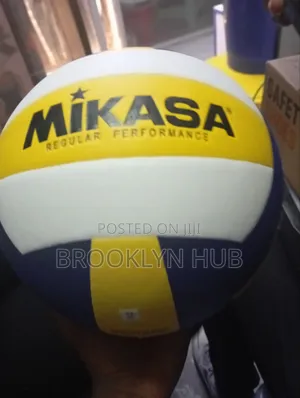 Mikasa Vorryball