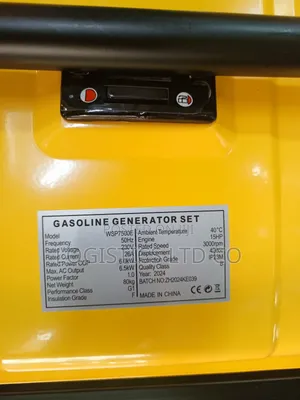 Wasp 6.5kva Petrol Generator-Electric/Recoil Start Wsp7500e