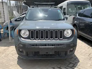 Jeep Renegade 2017 Gray
