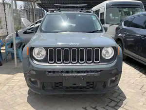 Jeep Renegade 2017 Gray
