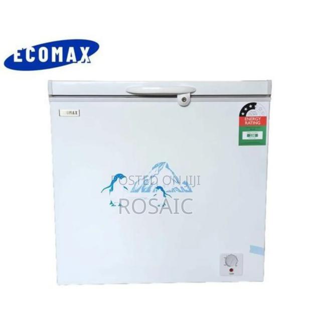 Ecomax 169litres Deep Freezer